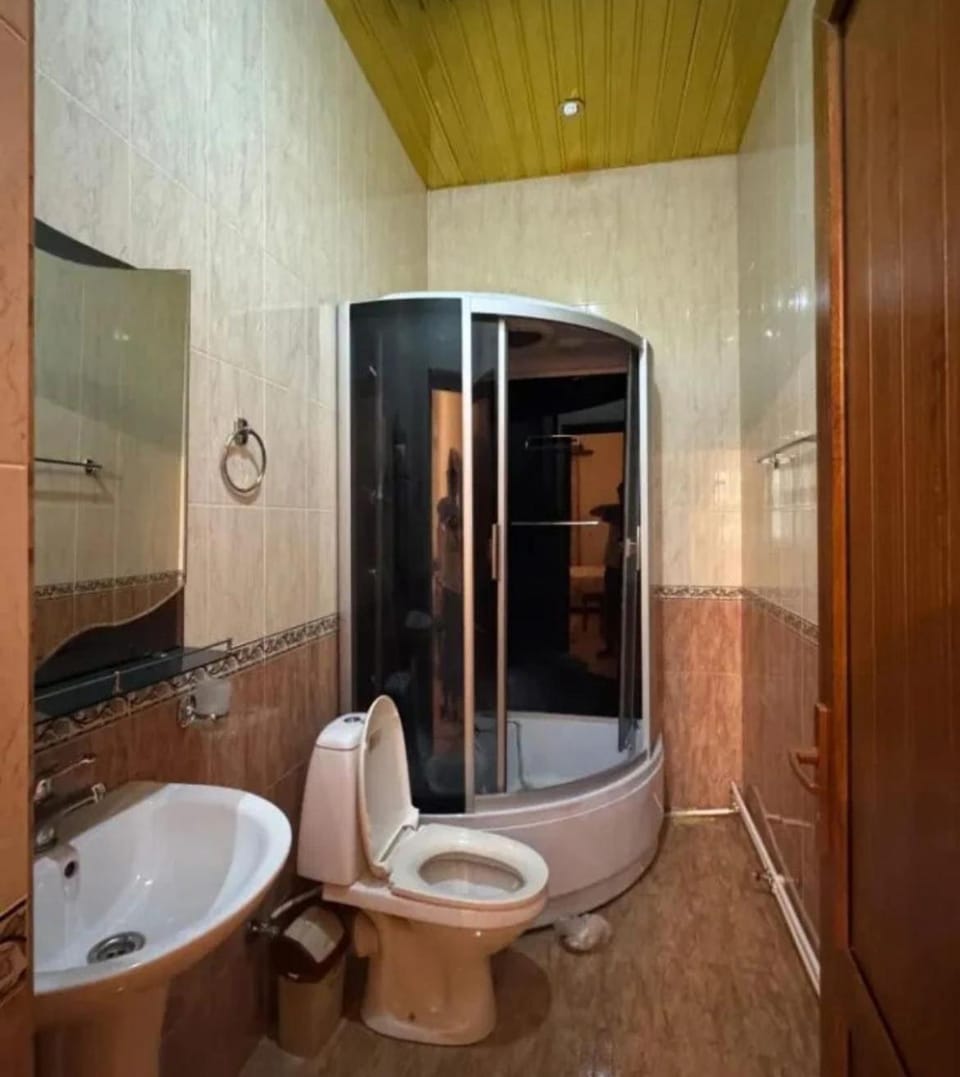 Shower, Toilet, Bathroom, towels