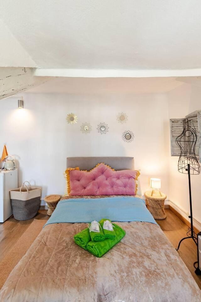 Mansarda Piazza Vittorio Center Apartment in Turin