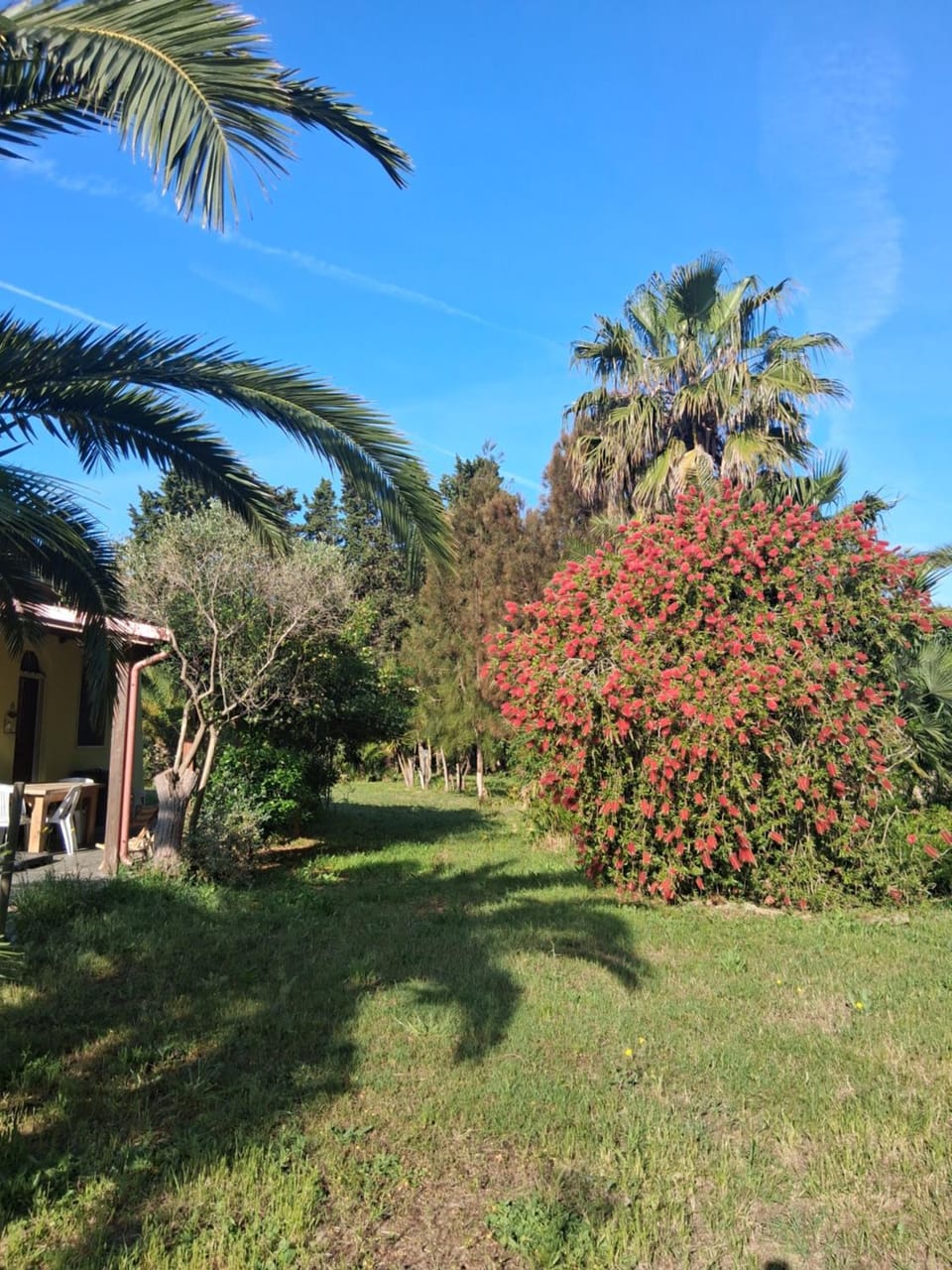 Il Giardino di Ercole House in Apulia