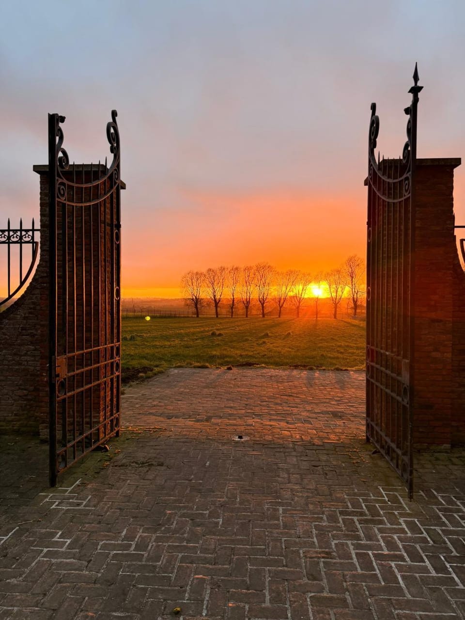 Château D - Roncheval Hotel in Flanders