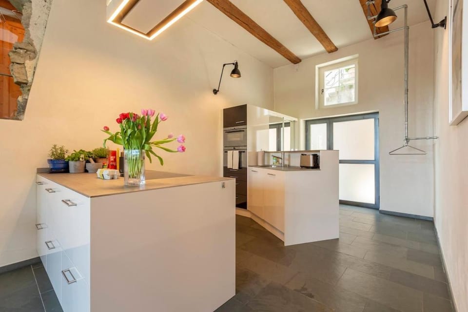 Kitchen or kitchenette, minibar, oven