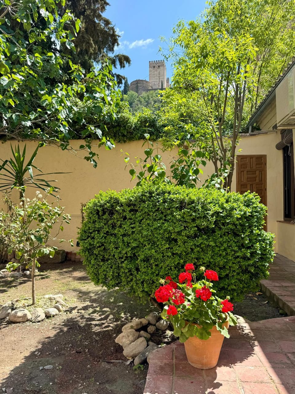 Property building, Spring, Day, Garden, Garden, City view, Garden view