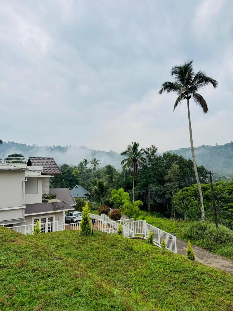 Day, Natural landscape, Garden view
