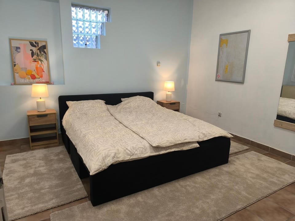 Dynasty Apartment in Vojvodina