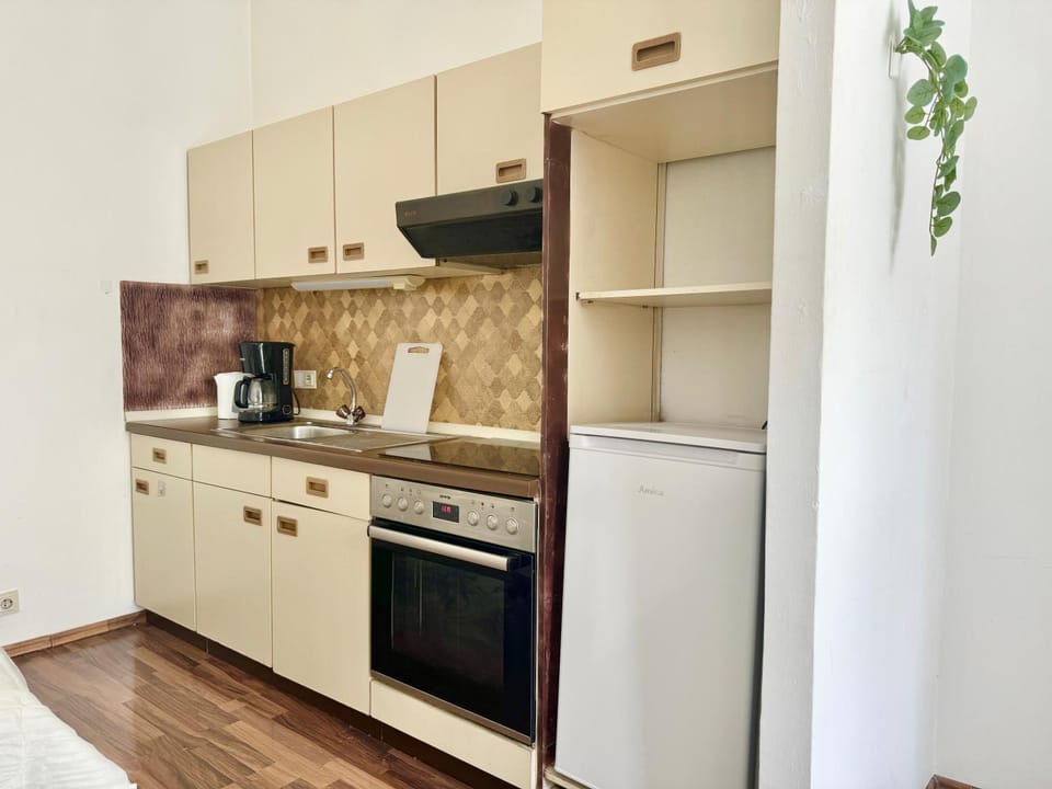 Central Long-Term Apartment near First District Apartment in Vienna
