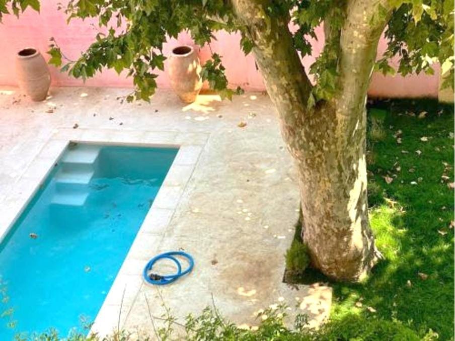 Garden, Garden view, Pool view, Swimming pool, sunbed