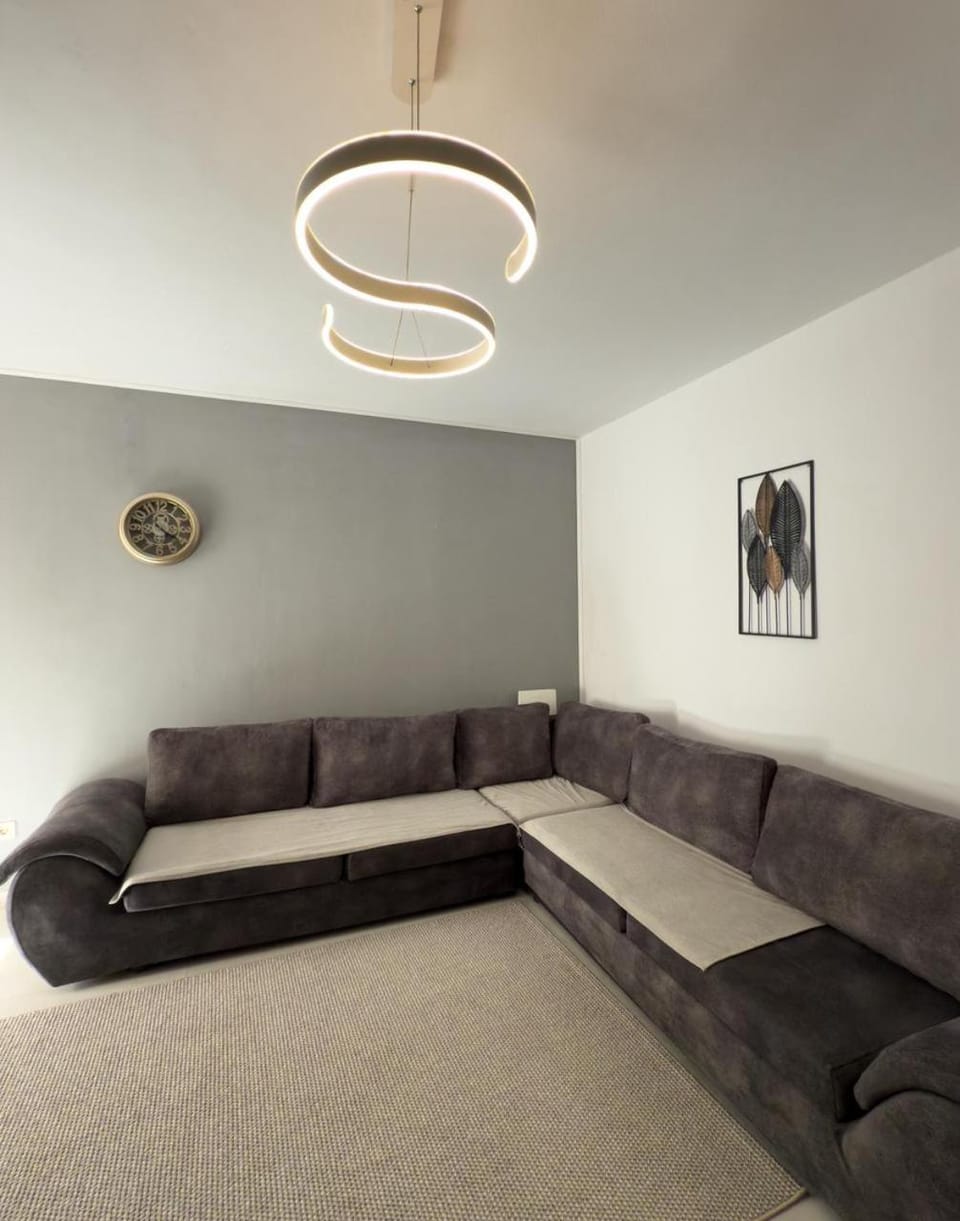Living room, Photo of the whole room, Seating area, air conditioner