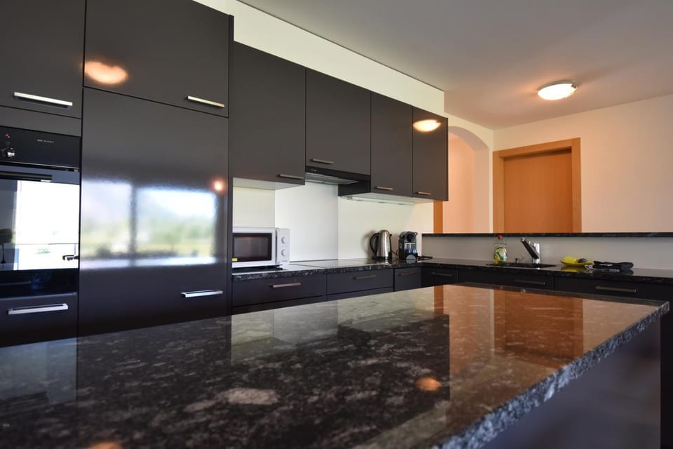 Appartement ensoleillé 4 personnes à Saillon à 100 mètres des bains Apartment in Riddes