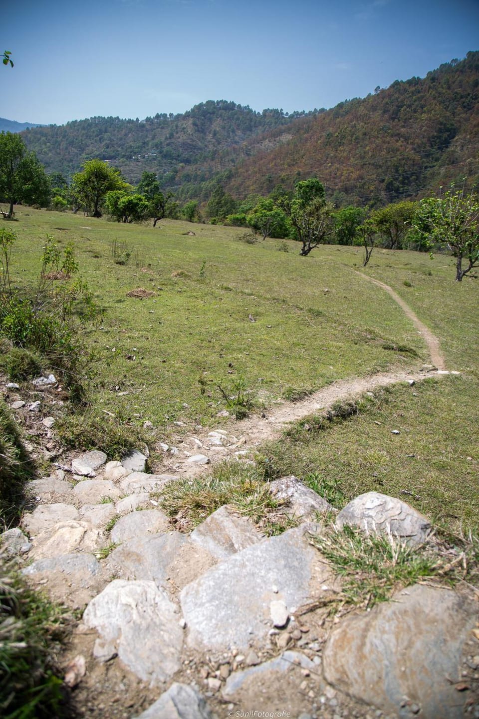 Hiking