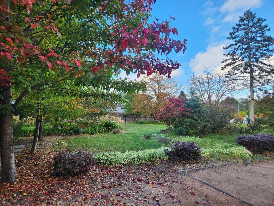 Garden view