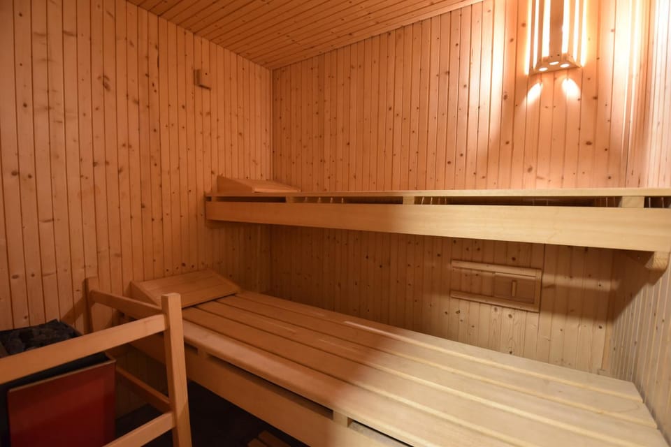 Grand Chalet Vercorin pour 10 personnes avec jardin BBQ parking privé et sauna Chalet in Sierre