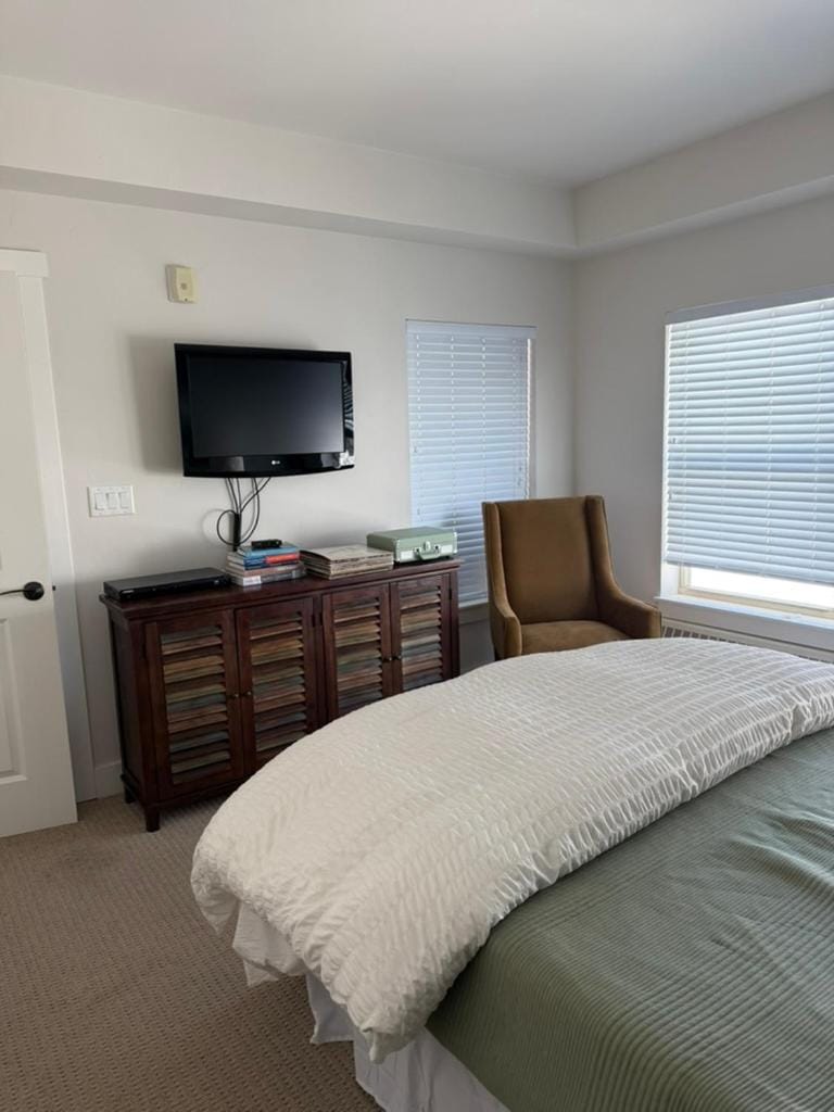 Ski-In/Ski-Out Luxe Mountain Getaway in Granby Apartment in Granby