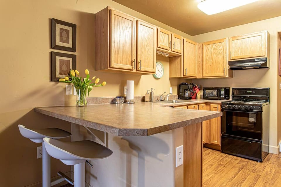 Studio at Resort w/Hot Tub + Winter Gondola Access Apartment in Steamboat Springs