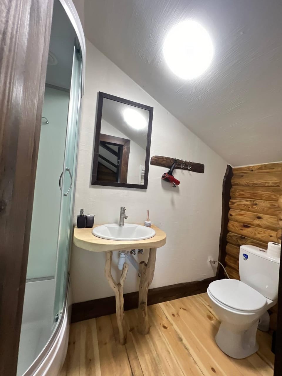 Shower, Toilet