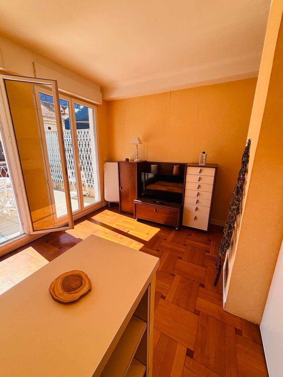 Terrace 1 bedroom - Negresco Apartment in Nice