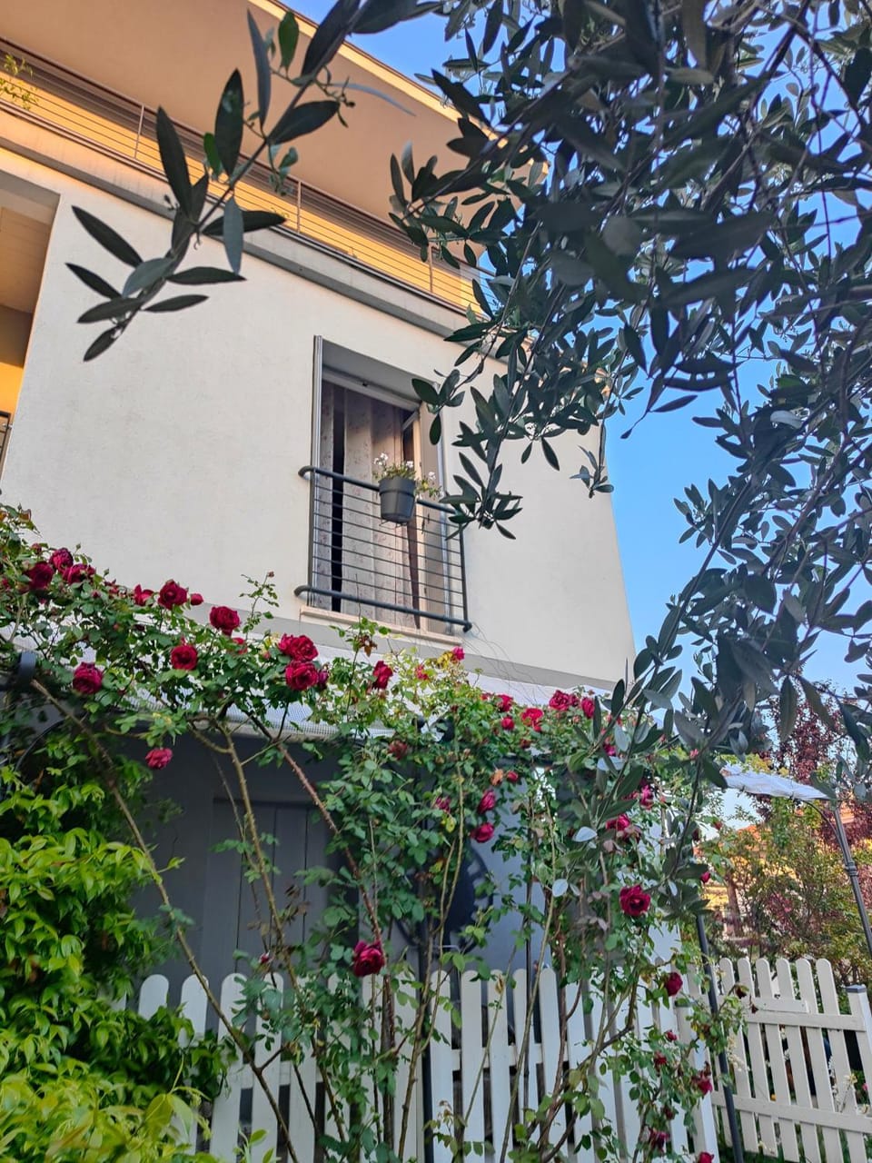 Appartamento In Villa Apartment in Peschiera del Garda