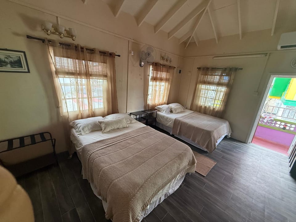 Downtown Roseau Stay Near Ferry, Stadium & Bustops Vacation rental in Dominica