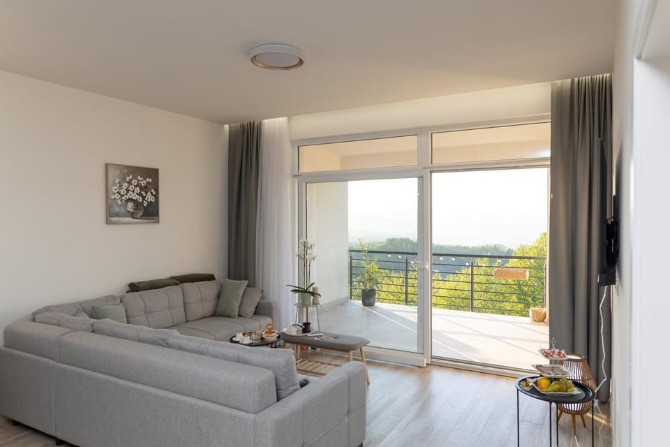 View (from property/room), Balcony/Terrace, Living room, Seating area