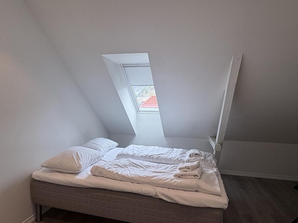 HHG3 4 Bedroom Apt Apartment in Bergen