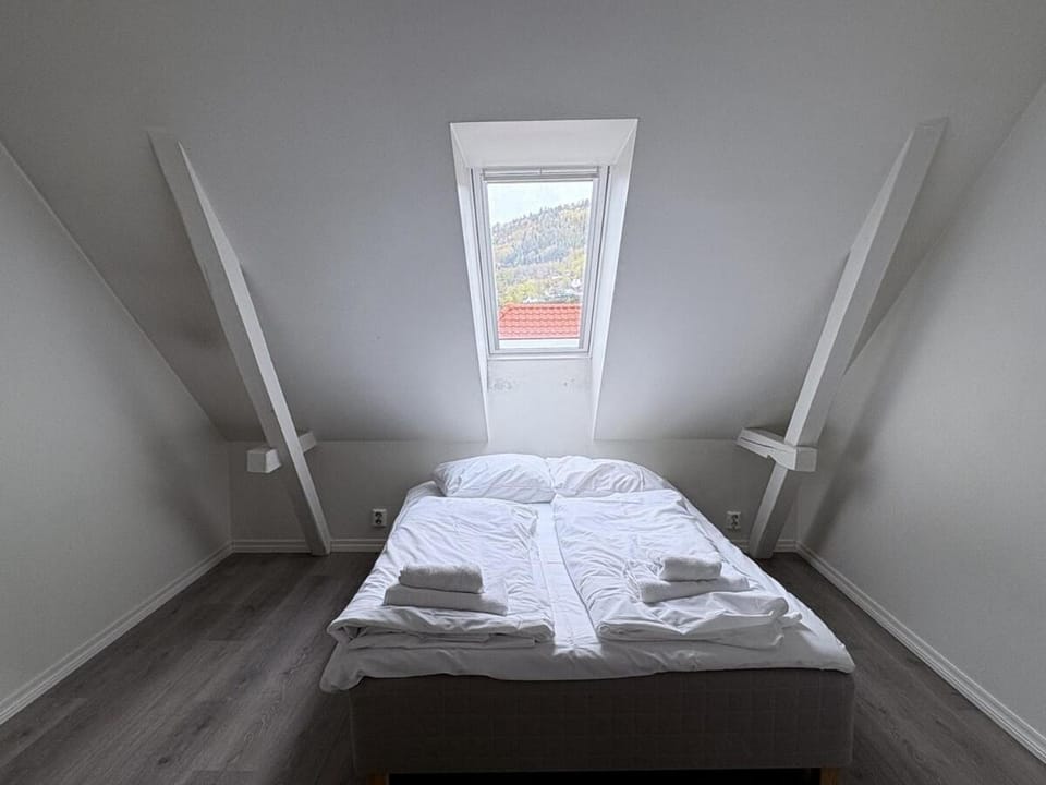 HHG3 4 Bedroom Apt Apartment in Bergen
