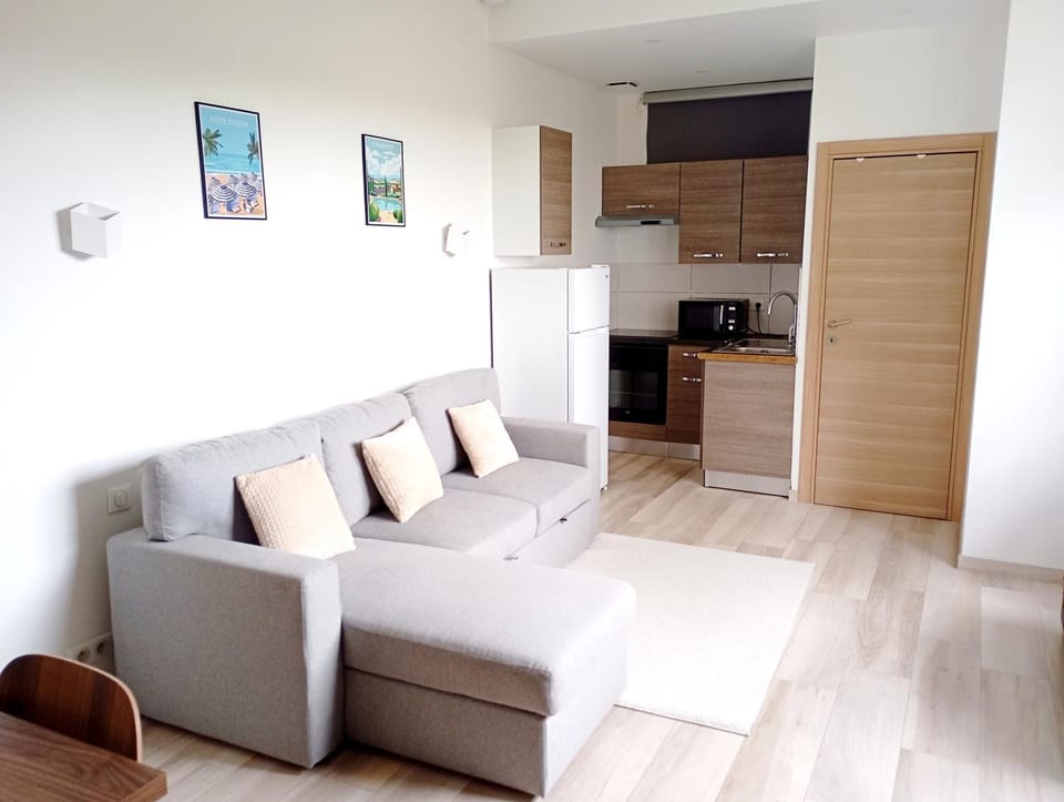 Kitchen or kitchenette, Living room, Seating area, oven, stove