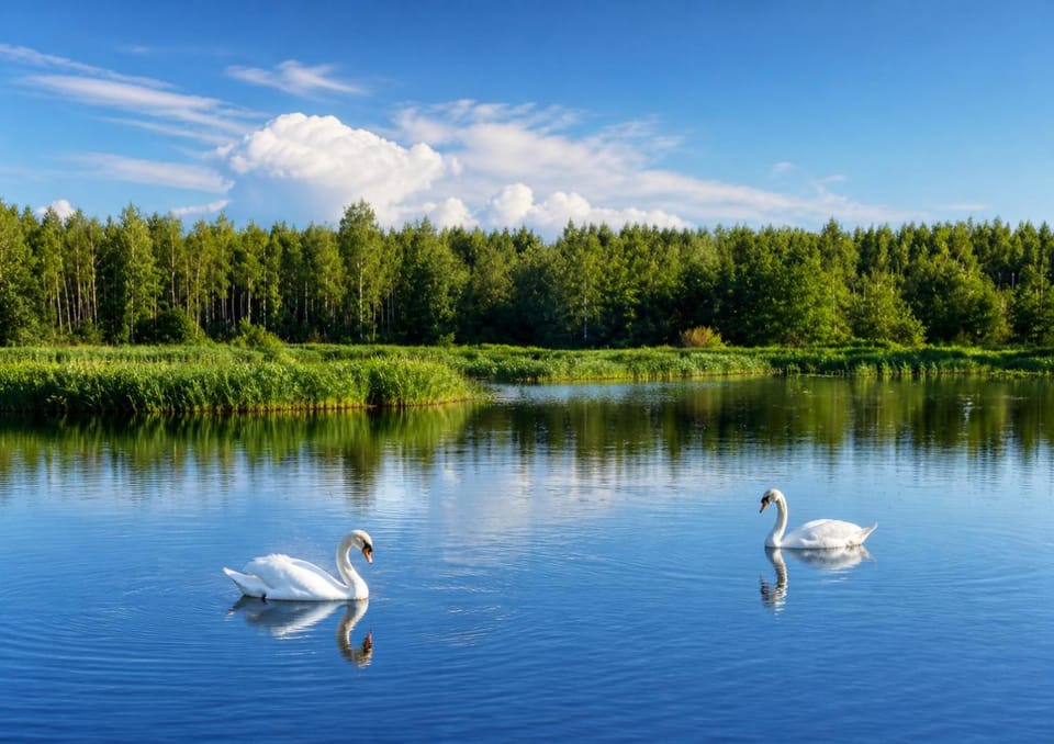 Lake Escape - Camp, Fish, Relax Campground/ 
RV Resort in Latvia
