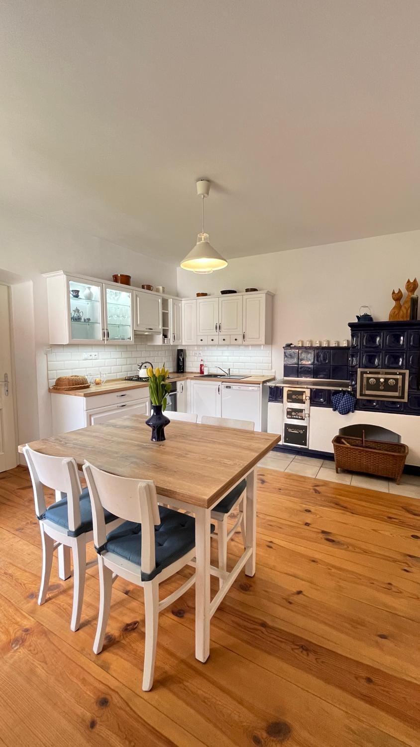 Kitchen or kitchenette, dishwasher, fireplace, oven, kitchen, kitchen