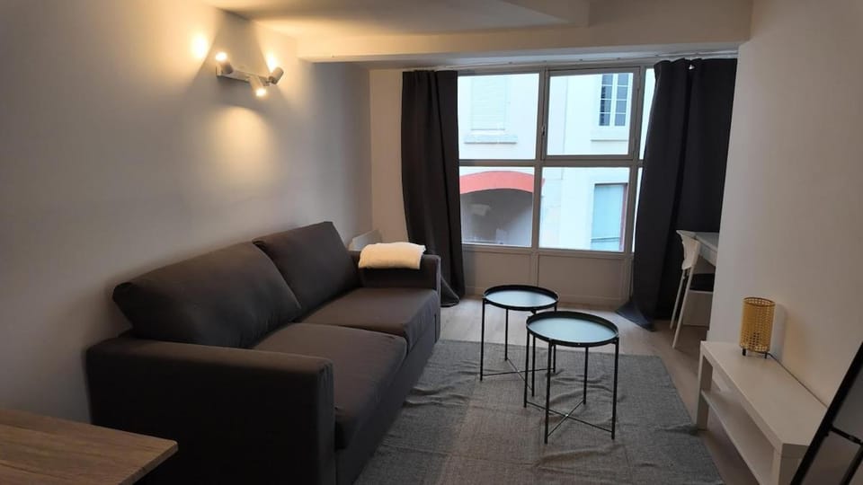 Le studio du square, au coeur de la ville Apartment in Grenoble
