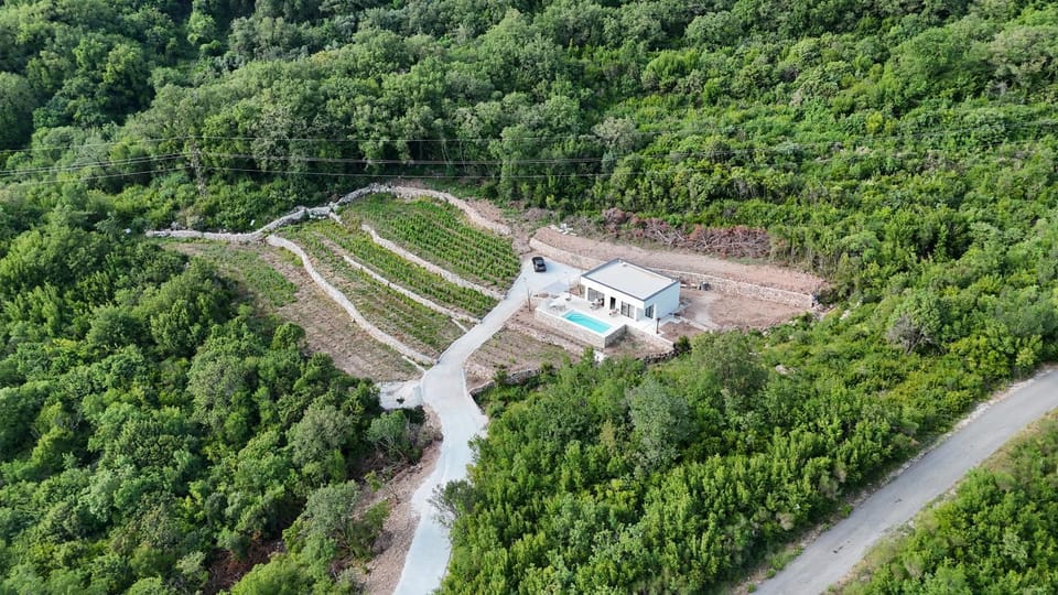 Green House House in Budva Municipality