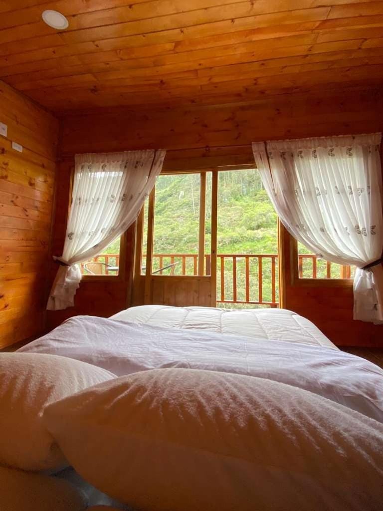 View (from property/room), Photo of the whole room