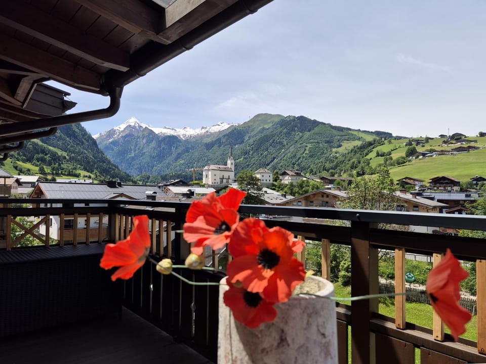 View (from property/room), Balcony/Terrace
