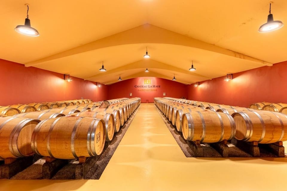 Château La Haye Wine Estate Stay - Sleeps 12 House in Nouvelle-Aquitaine