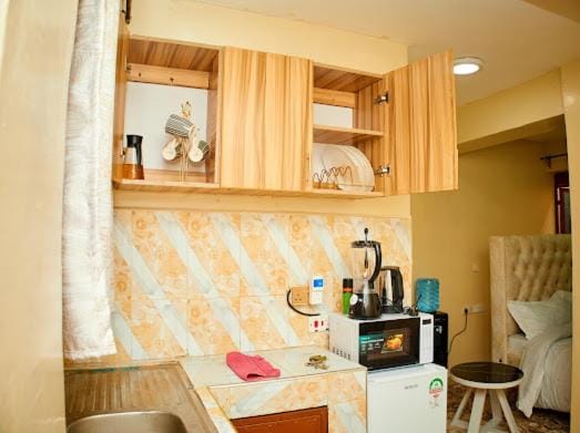 TEXAS STUDIOs THIKA Apartment in Kenya