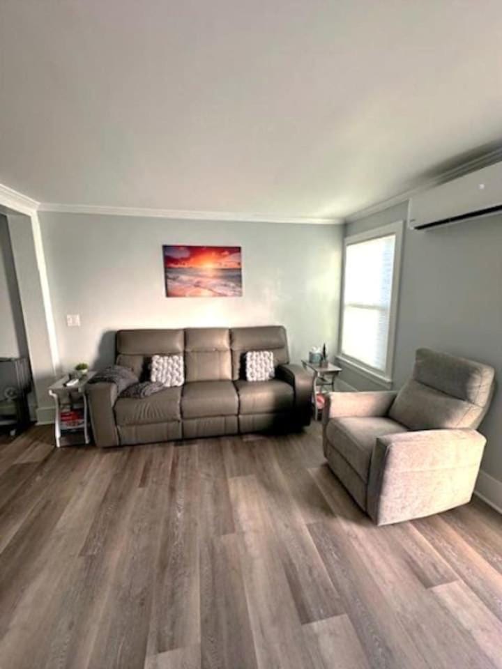 Serenity Charmer - Walk to Downtown & Marina House in Dunedin