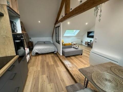 Appartement meublé type loft - Falaise Apartment in Normandy