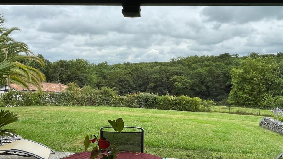 Garden view