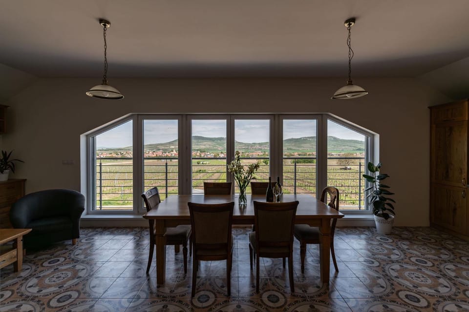APARTMÁNY - Archivní sklep Apartment in South Moravian Region