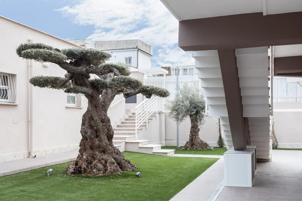 Property building, Day, Garden view