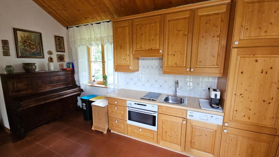 Kitchen or kitchenette, dishwasher, oven, stove