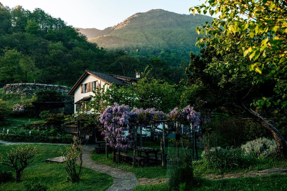 Garden, View (from property/room), Hiking