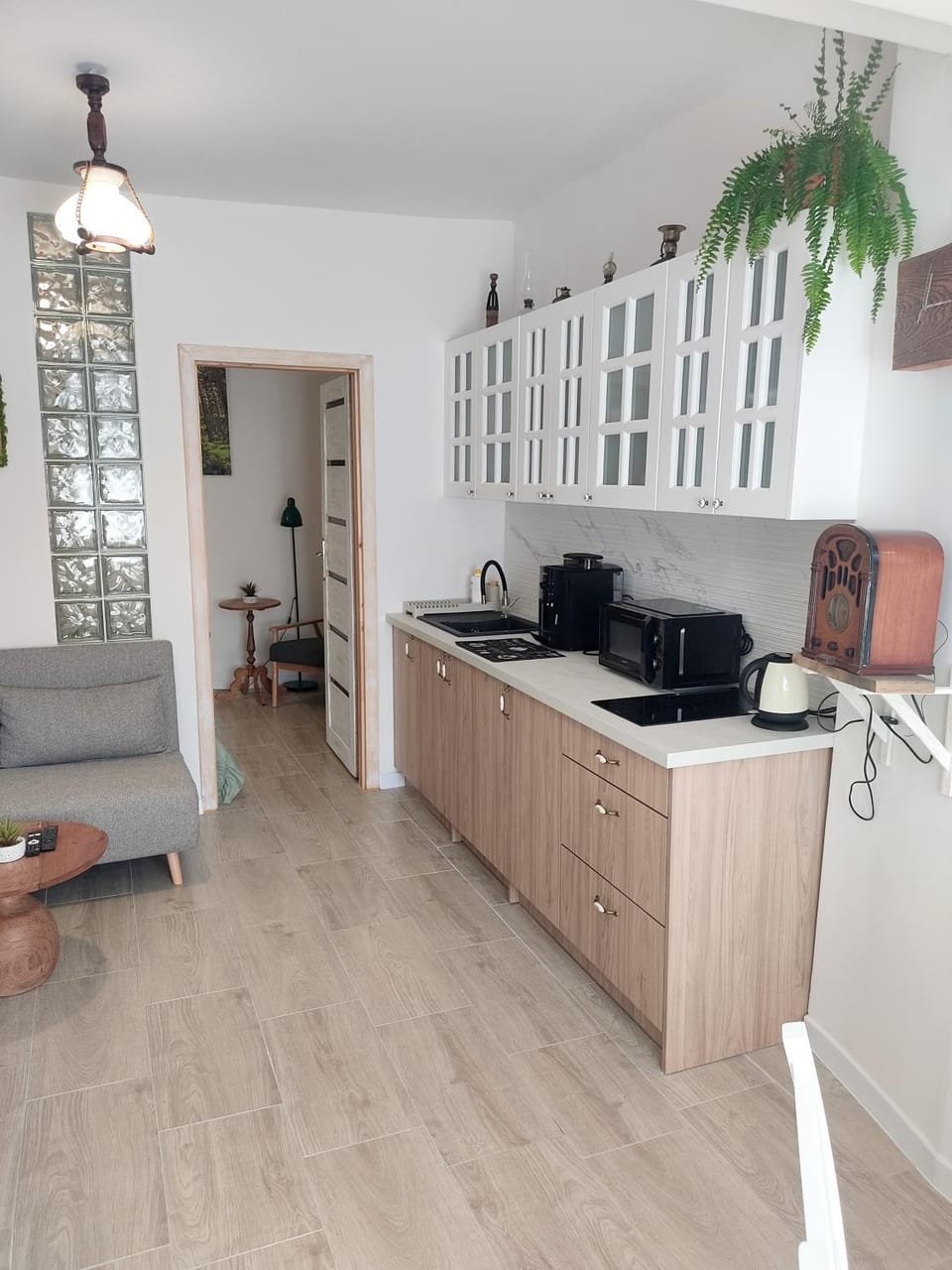 Living room, kitchen