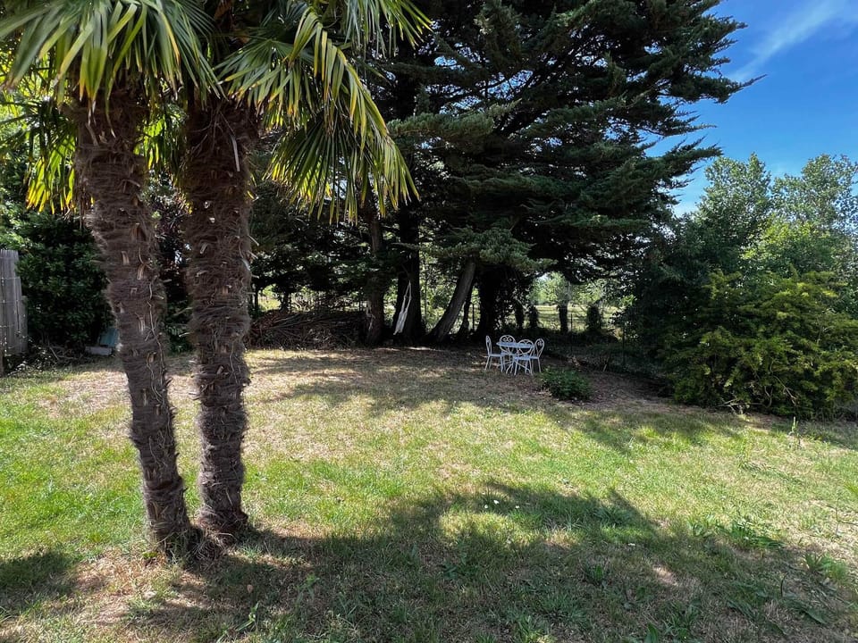 Maison Antioche Charming house with large garden House in Nouvelle-Aquitaine