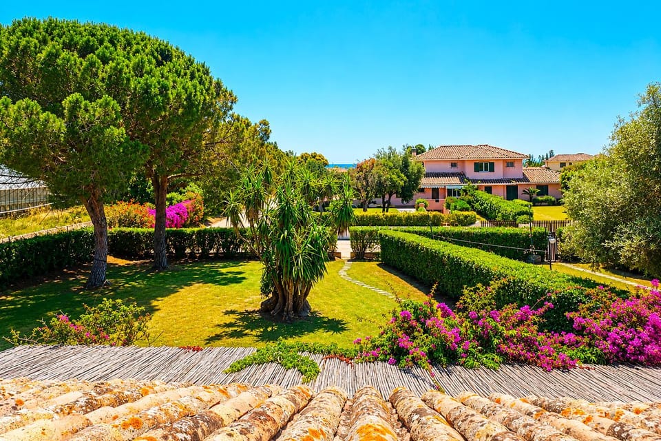 Day, Garden, Photo of the whole room, Garden view