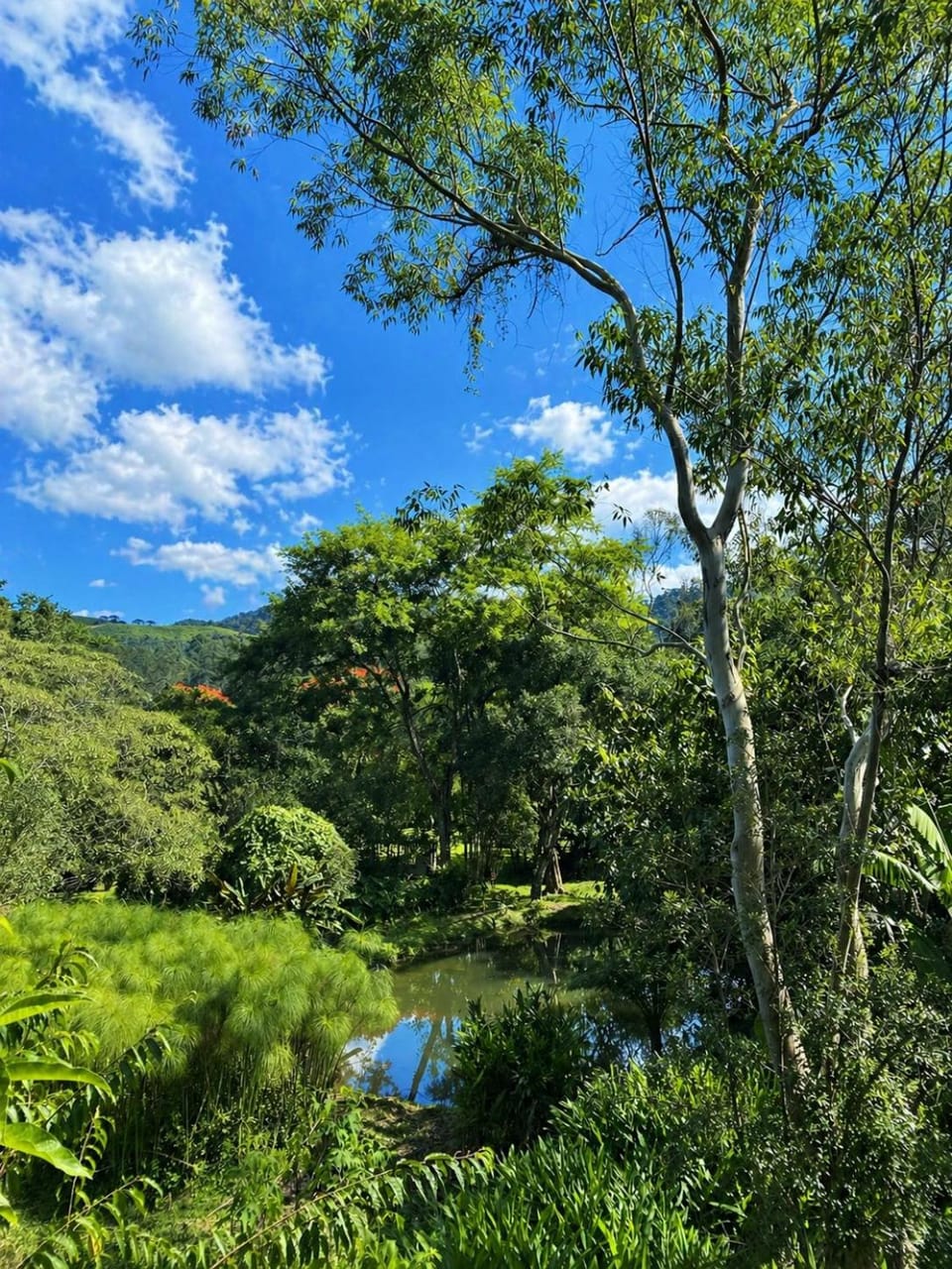 Refúgios de Mauá - Casa das Estrelas Chalet in Visconde de Mauá