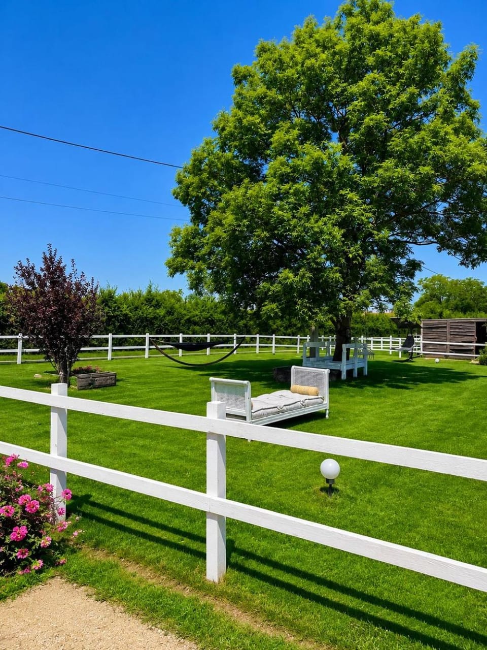 Garden, Garden, Garden view, Garden view