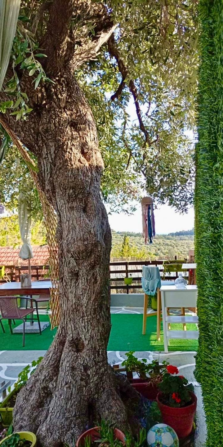 The Nest House in Thasos