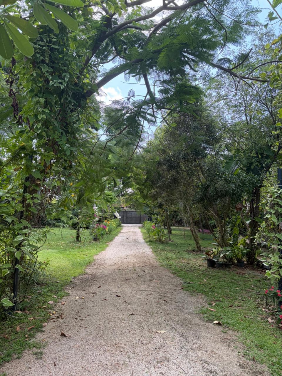 Dutch Bungalow - Villa in Negombo Bed and Breakfast in Negombo