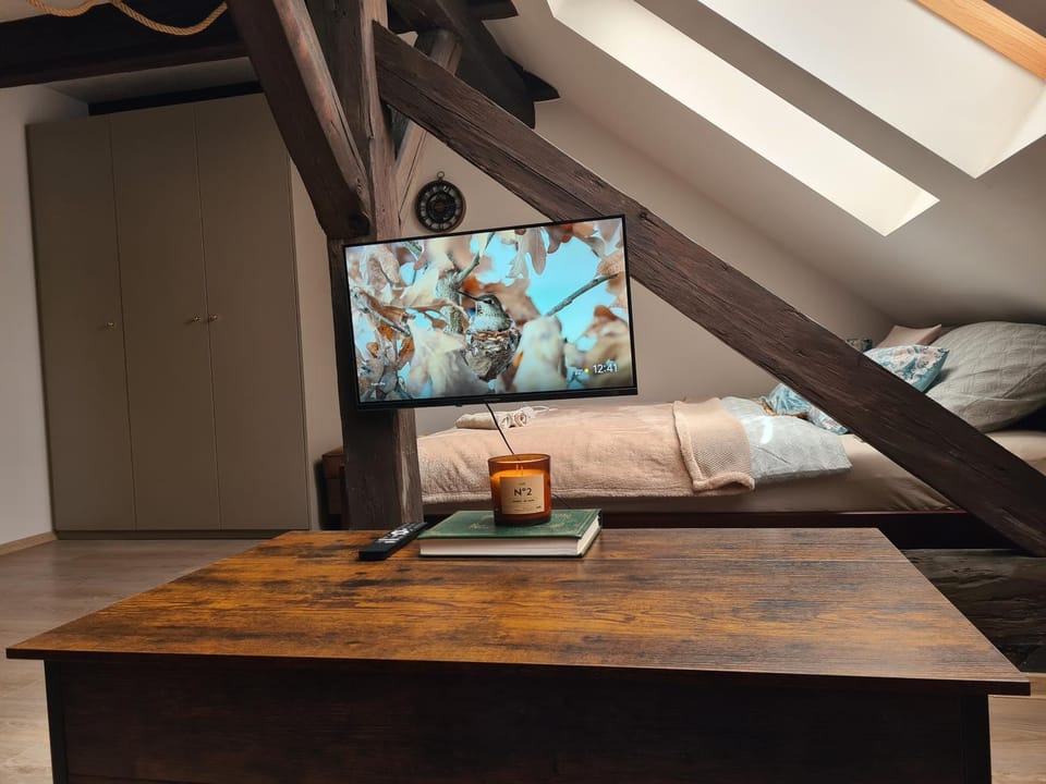 TV and multimedia