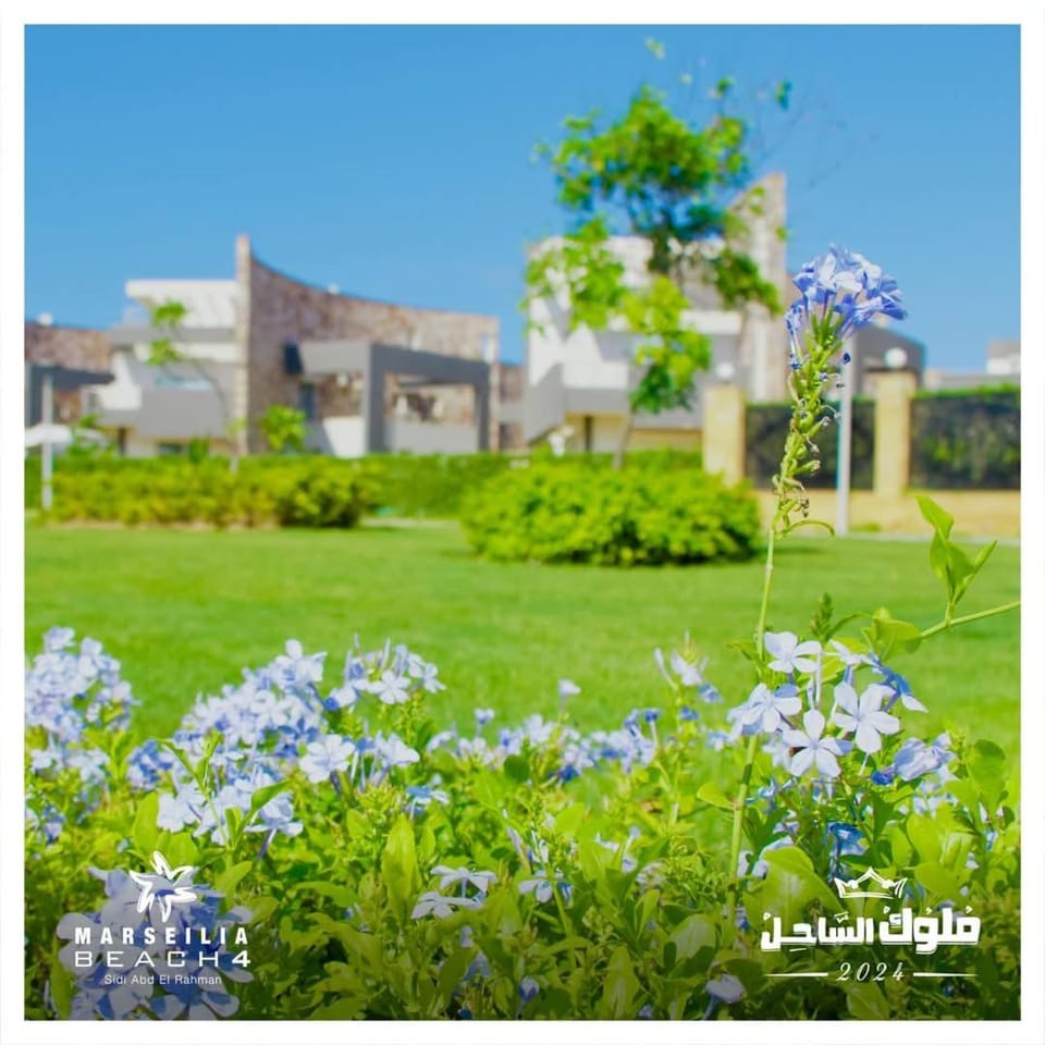 فيجا 22 Apartment in Egypt