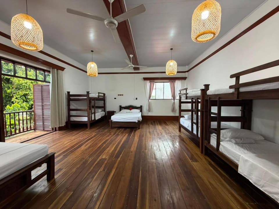 Bed, Photo of the whole room, Bedroom, bunk bed